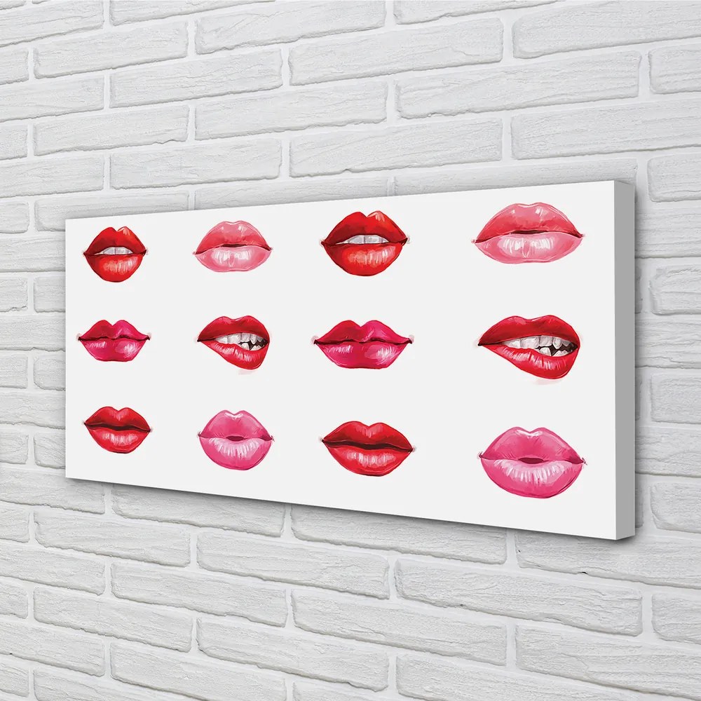 Obraz na płótnie Czerwień i Róż Ust