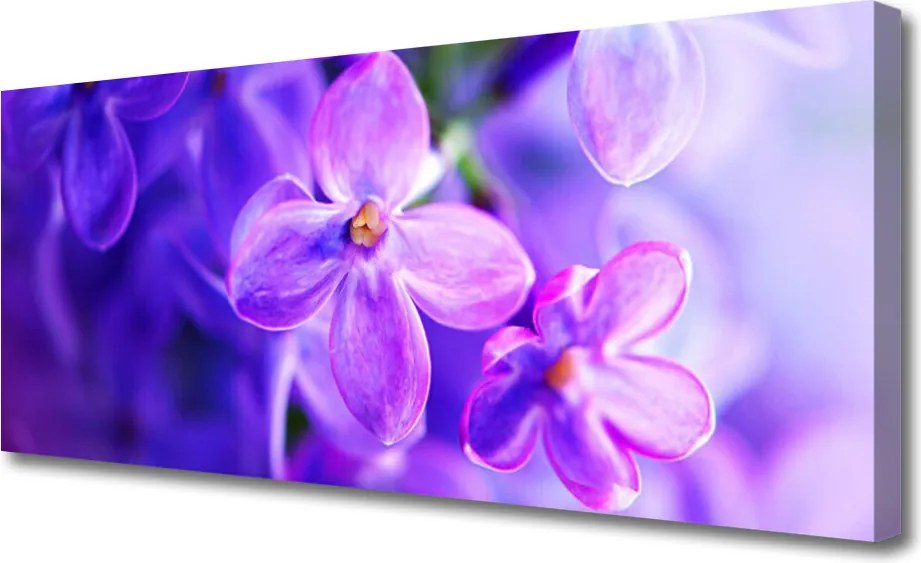 Obraz canvas na ścianę Polana Fioletowych Kwiatów