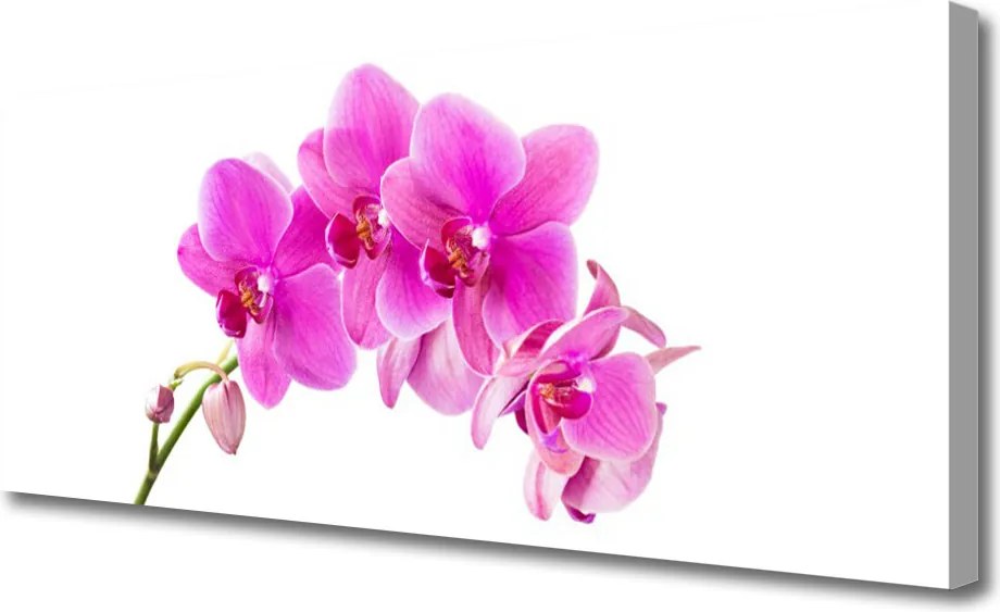 Obraz canvas Biała Orchidea na Płótnie