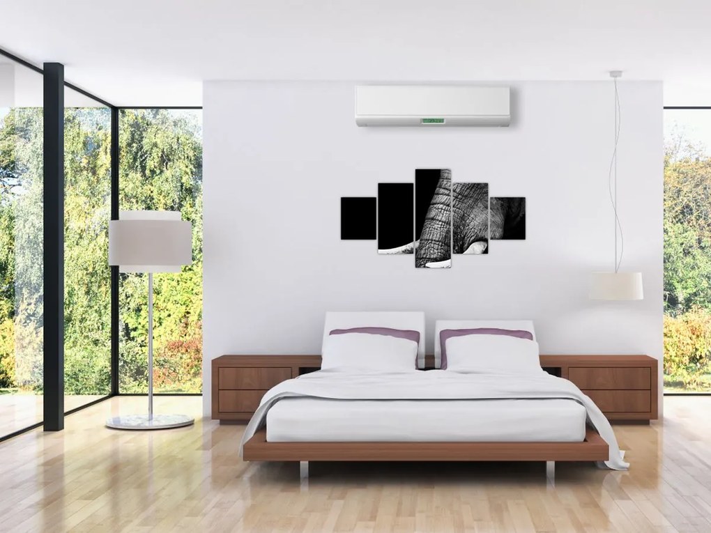 Obraz - Kły słonia (125x70 cm)