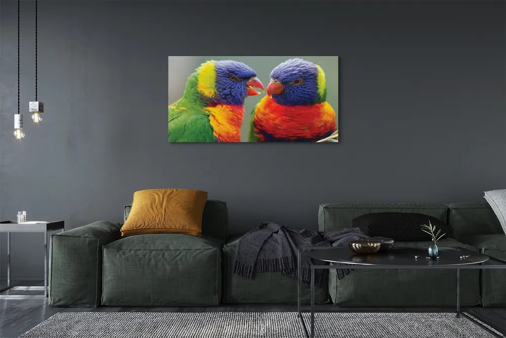 Fotoobraz na płótnie Feeria Barw: Papugi