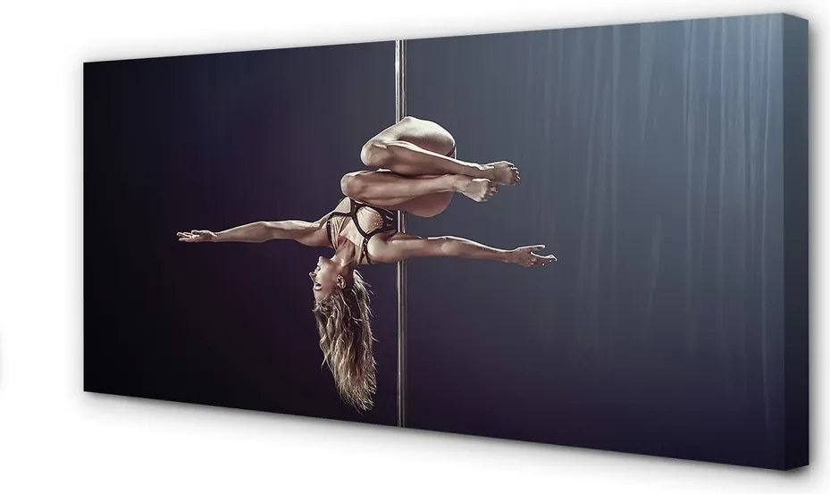 Obraz na płótnie Taniec na Rurze