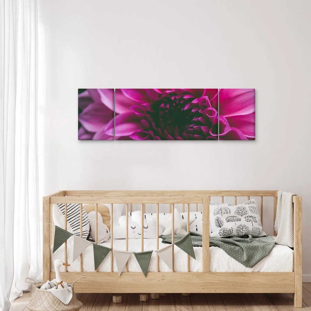 Obraz różowego kwiatu róży (170x50 cm)