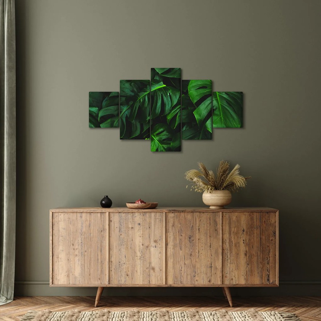 Obraz liści Monstery (125x70 cm)