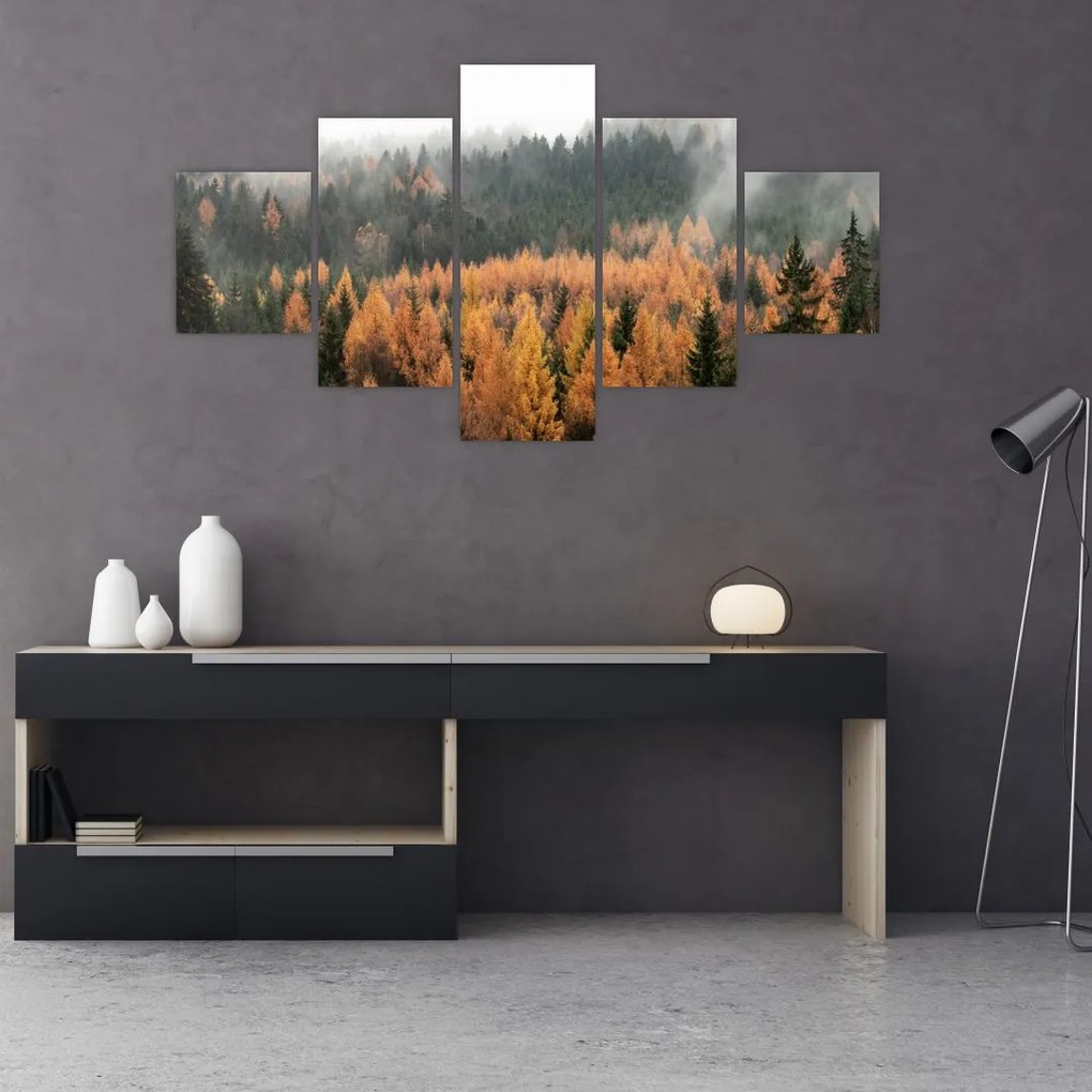 Obraz - Jesienny las (125x70 cm)