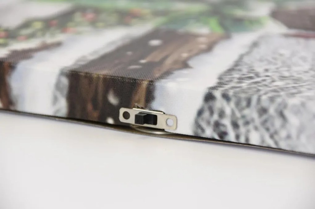 Obraz LED Zimowy Koń i Wróbel 30x40 cm z Timerem