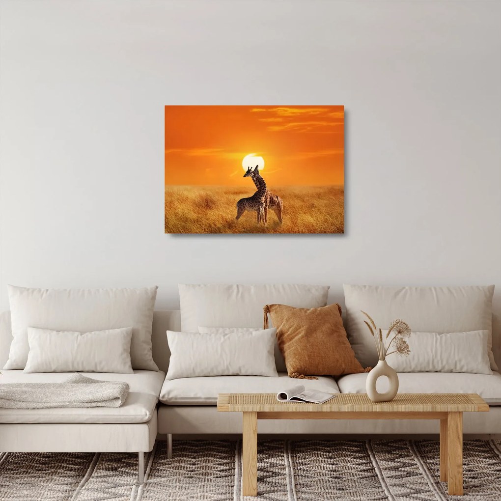 Obraz na szkle - Żyrafy w Parku Narodowym Serengeti (70x50 cm)