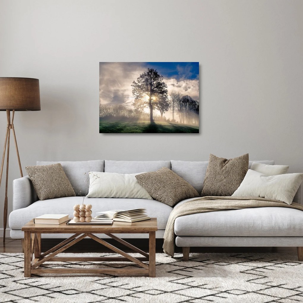 Obraz na szkle - drzewo we mgle (70x50 cm)