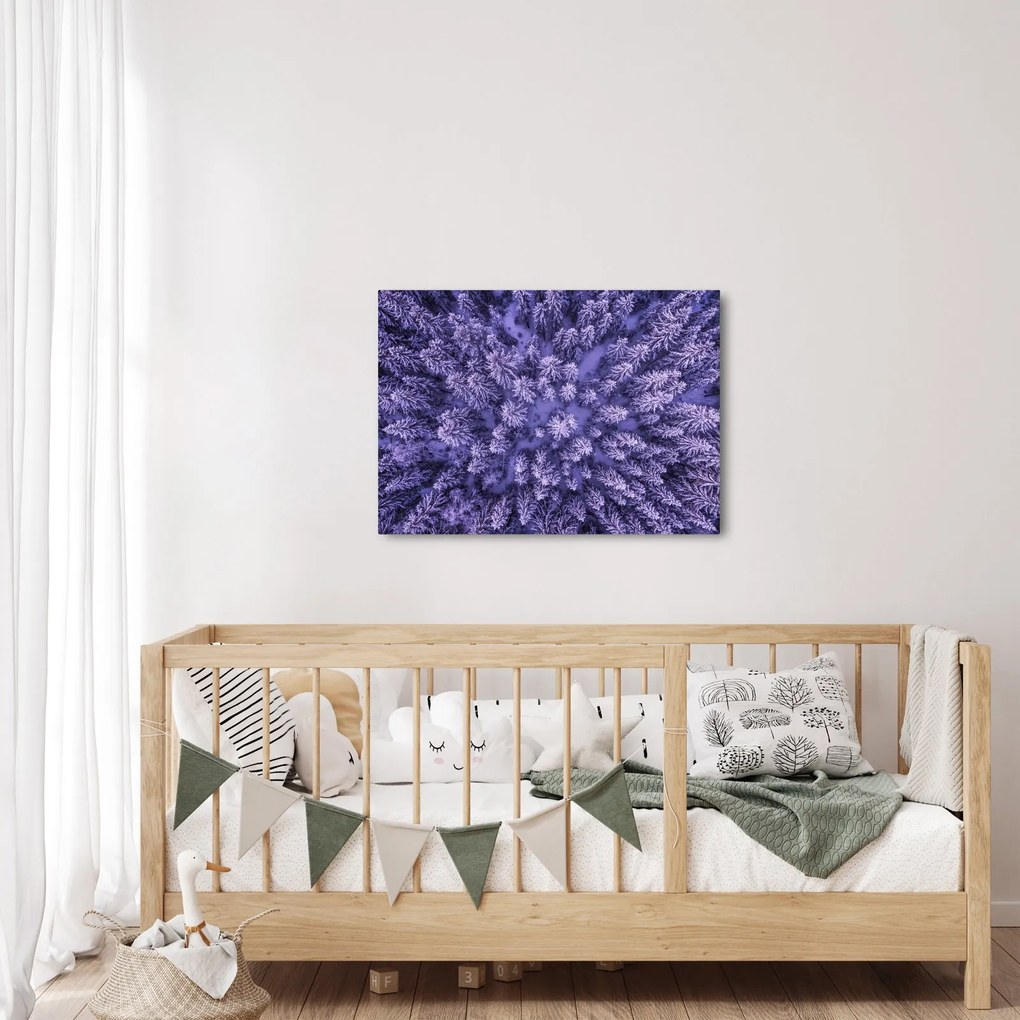 Obraz ośnieżonych drzew (70x50 cm)