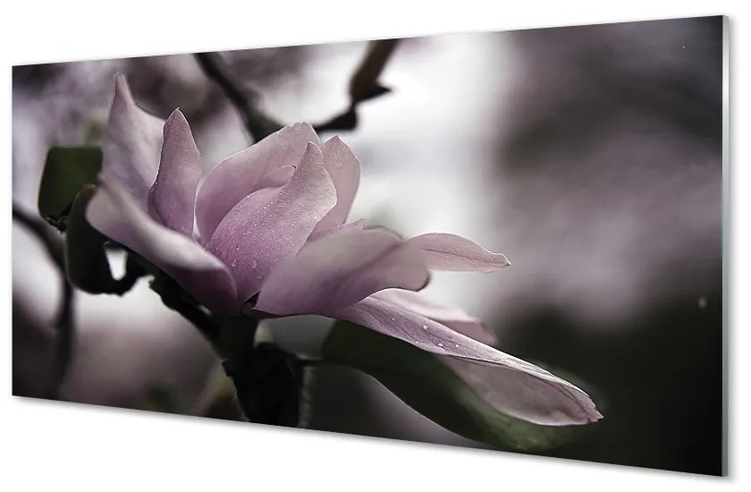 Szklany Panel Magnolia