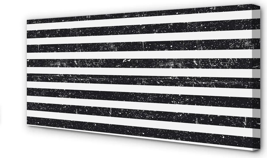 Obraz canvas na ścianę Motyw Zebry i Plam