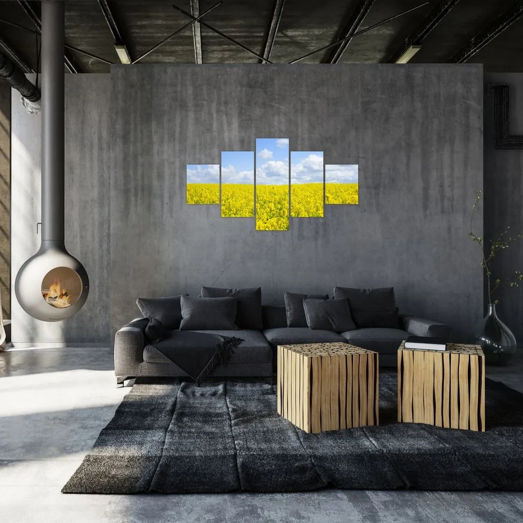 Obraz żółtego pola (125x70 cm)