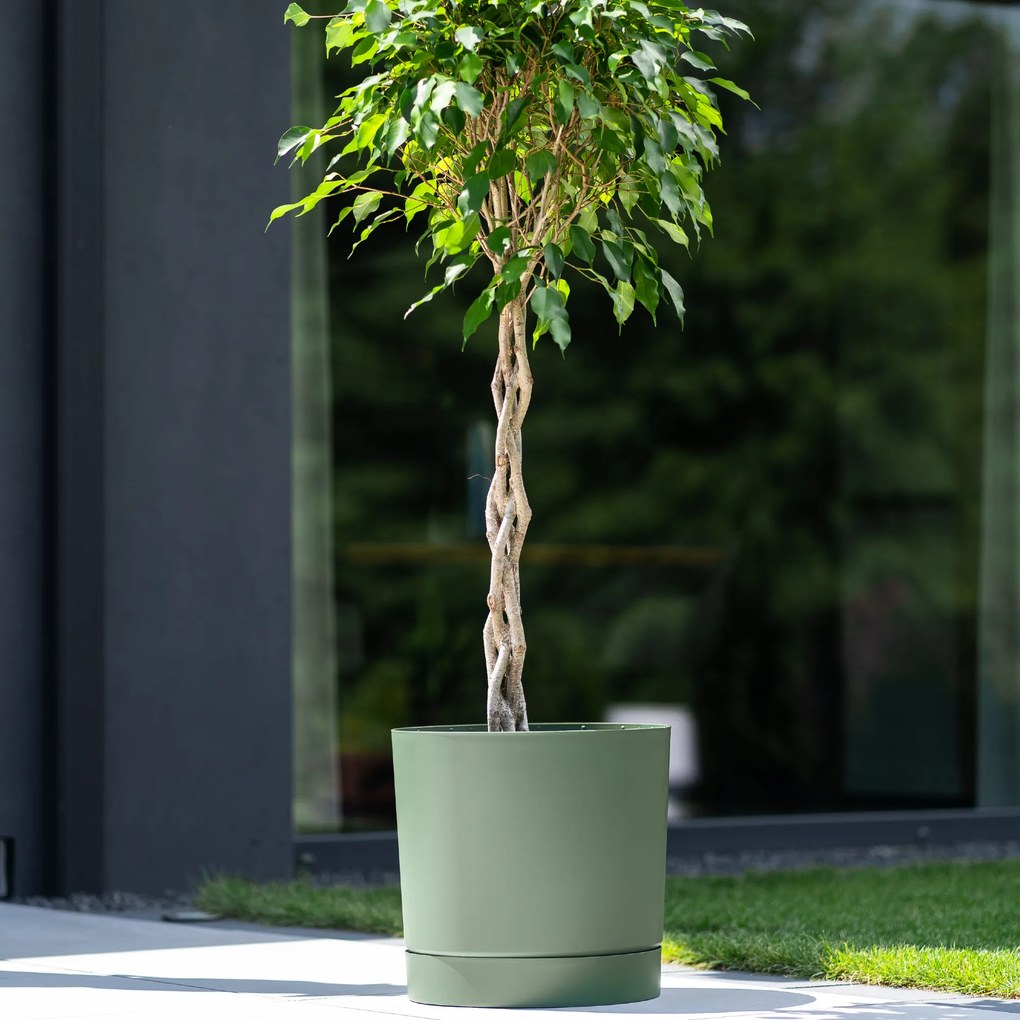Donica ogrodowa Tubo P 19,9 cm zielona pinia PROSPERPLAST
