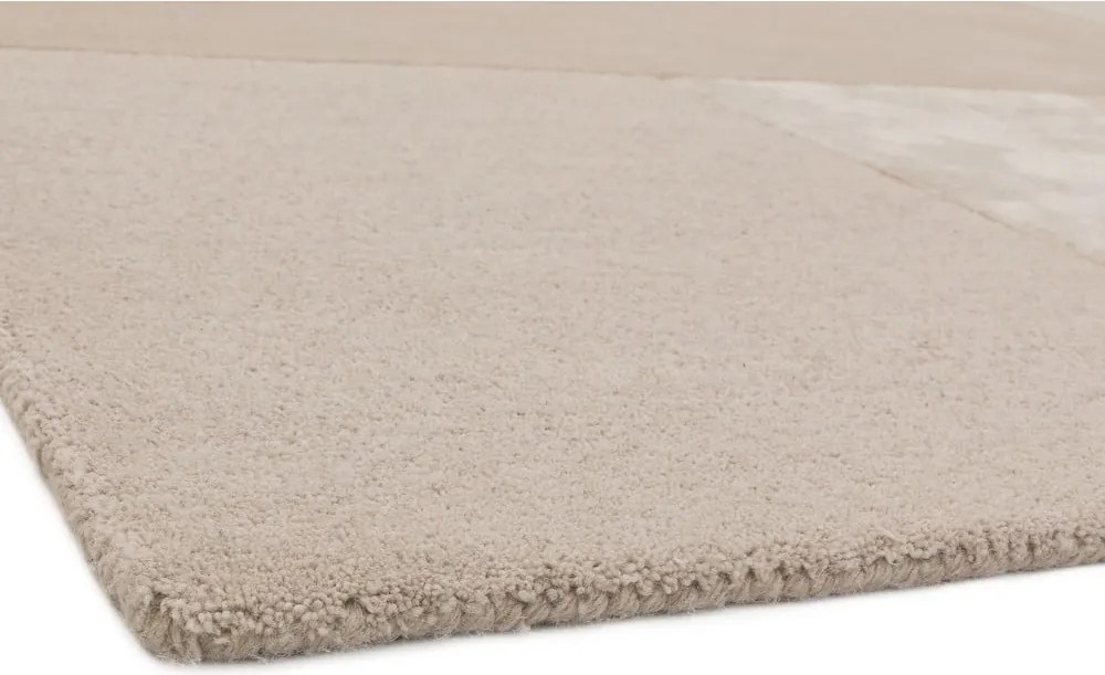 Jasnokremowy dywan Asiatic Carpets Tate Tonal Textures, 160x230 cm