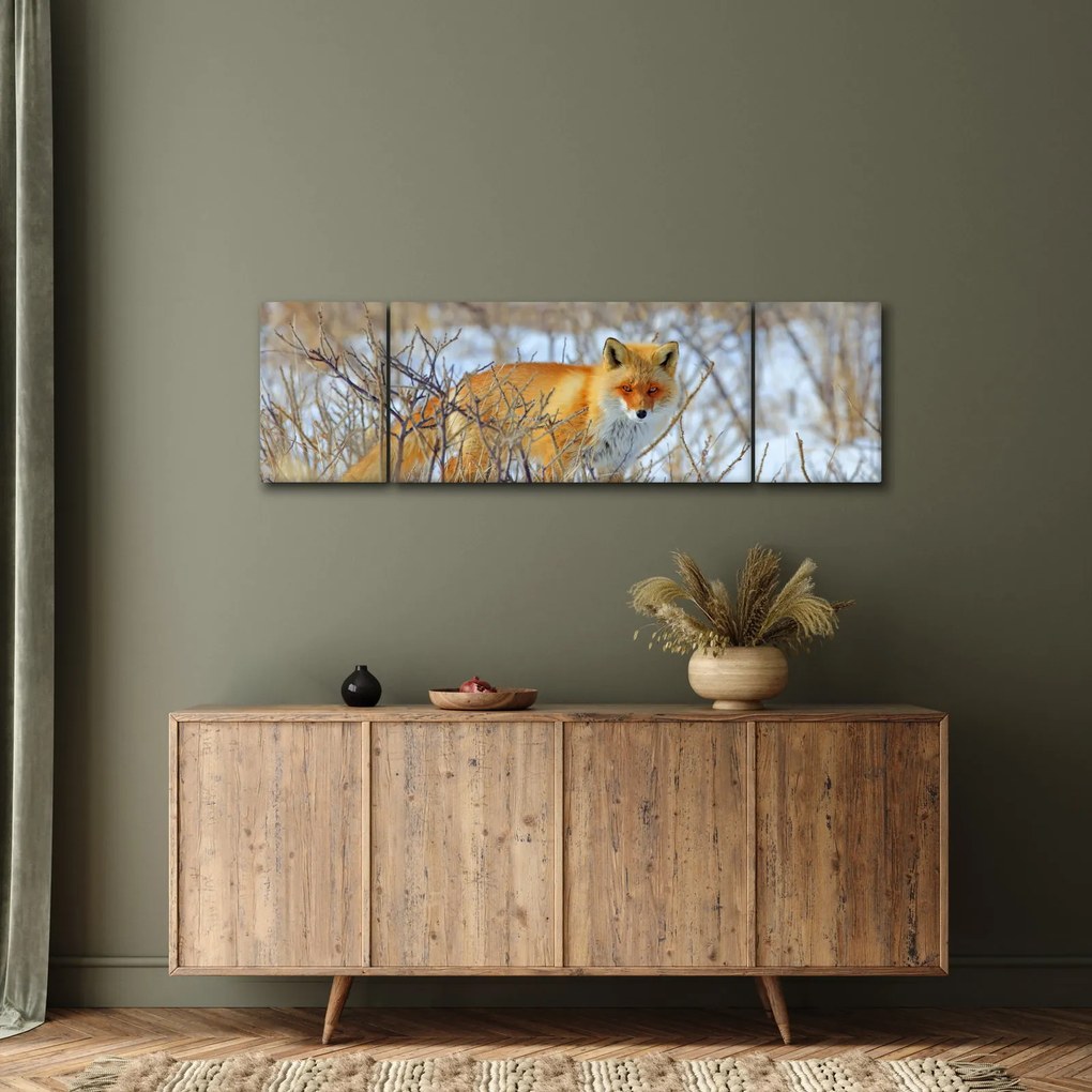 Obraz - Lis (170x50 cm)