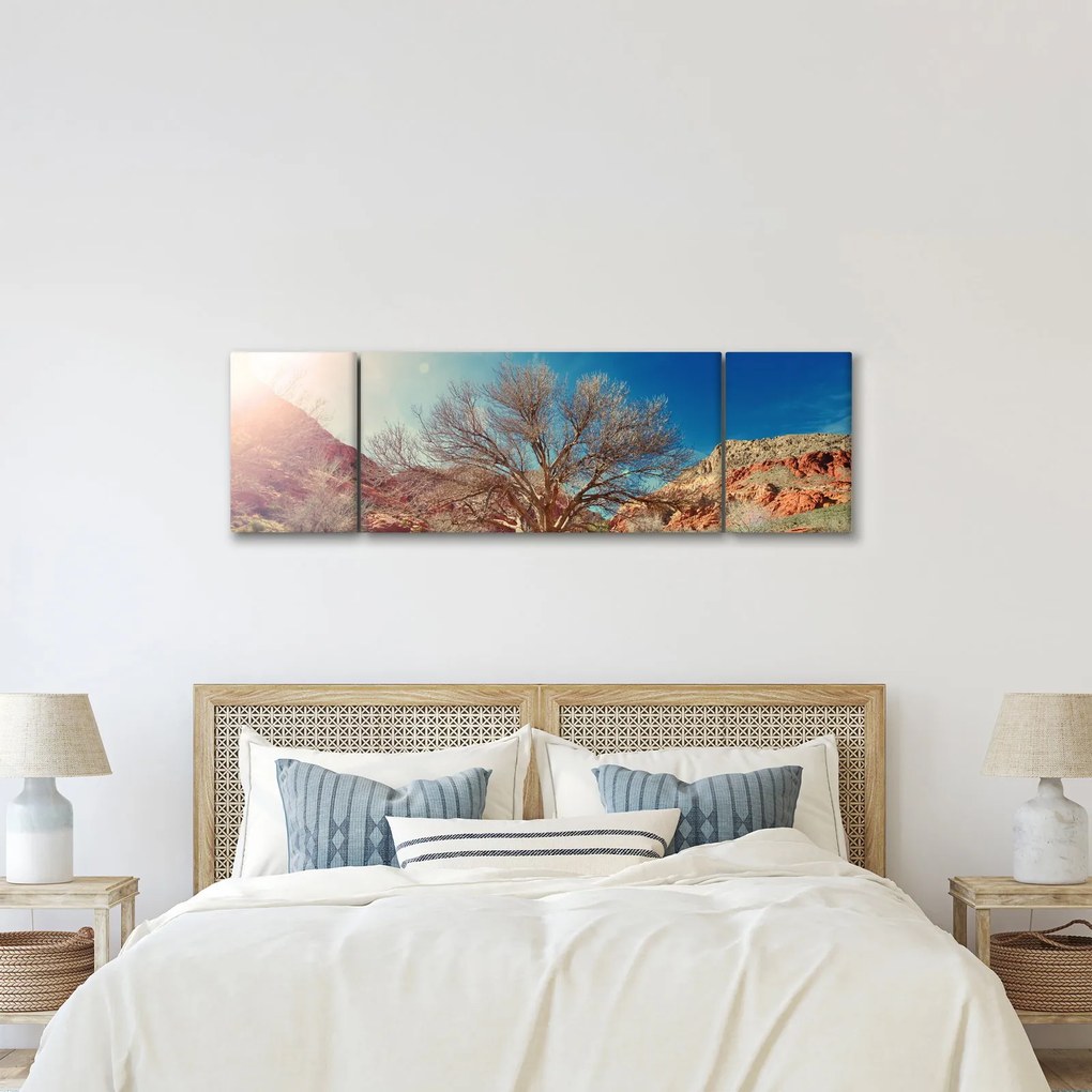 Obraz drzewa na pustyni (170x50 cm)