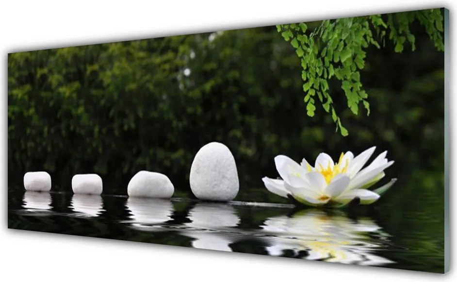 Panel Szklany do Kuchni Lilia Wodna Na Jeziorze