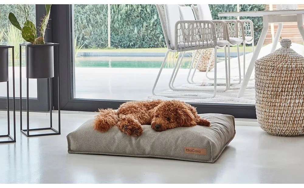 Brązowy materac dla psów 75x100 cm Mare Kelp M – MiaCara