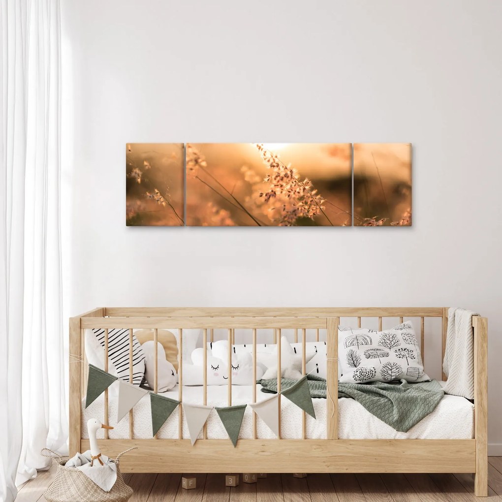 Obraz - Trawa  na słońcu (170x50 cm)