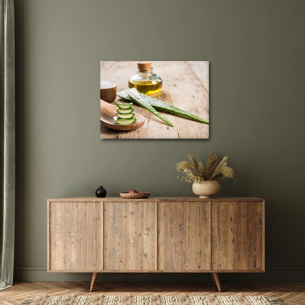 Obraz - Aloes (70x50 cm)