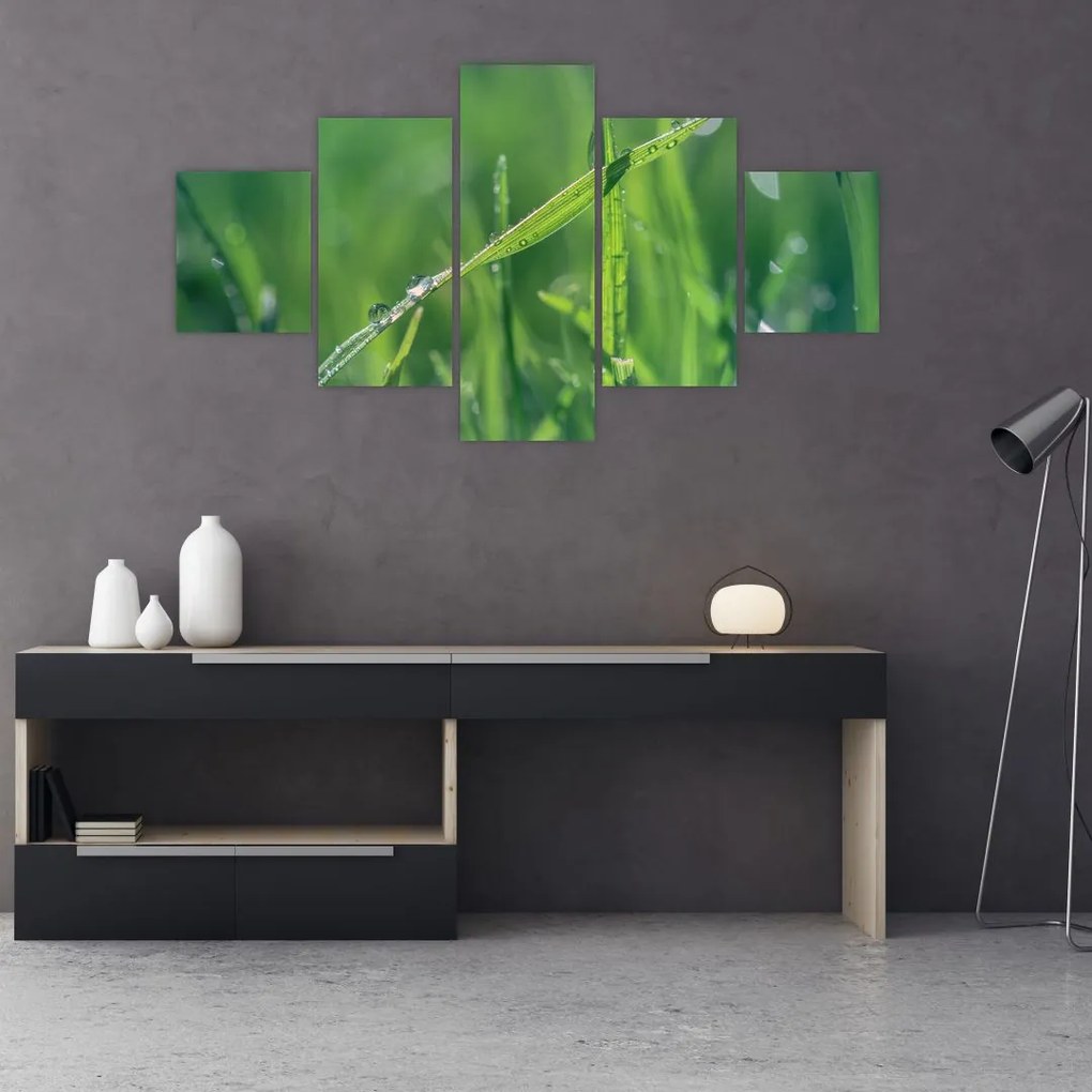 Obraz kropli rosy (125x70 cm)