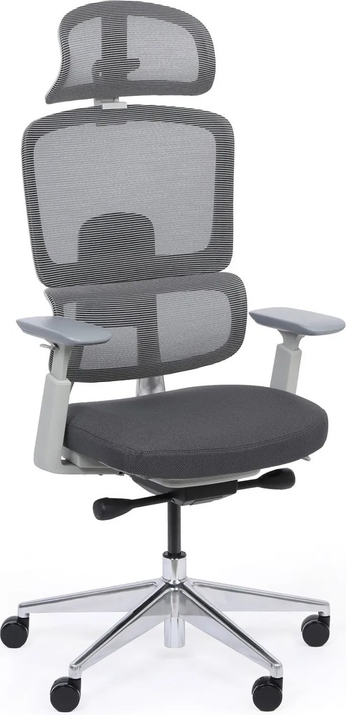 Krzesło biurowe WILMOT MF 1+1 GRATIS, szara rama, szara
