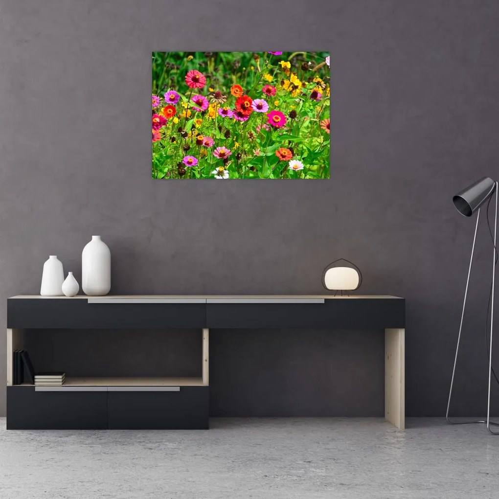 Obraz kwiatów polnych (70x50 cm)