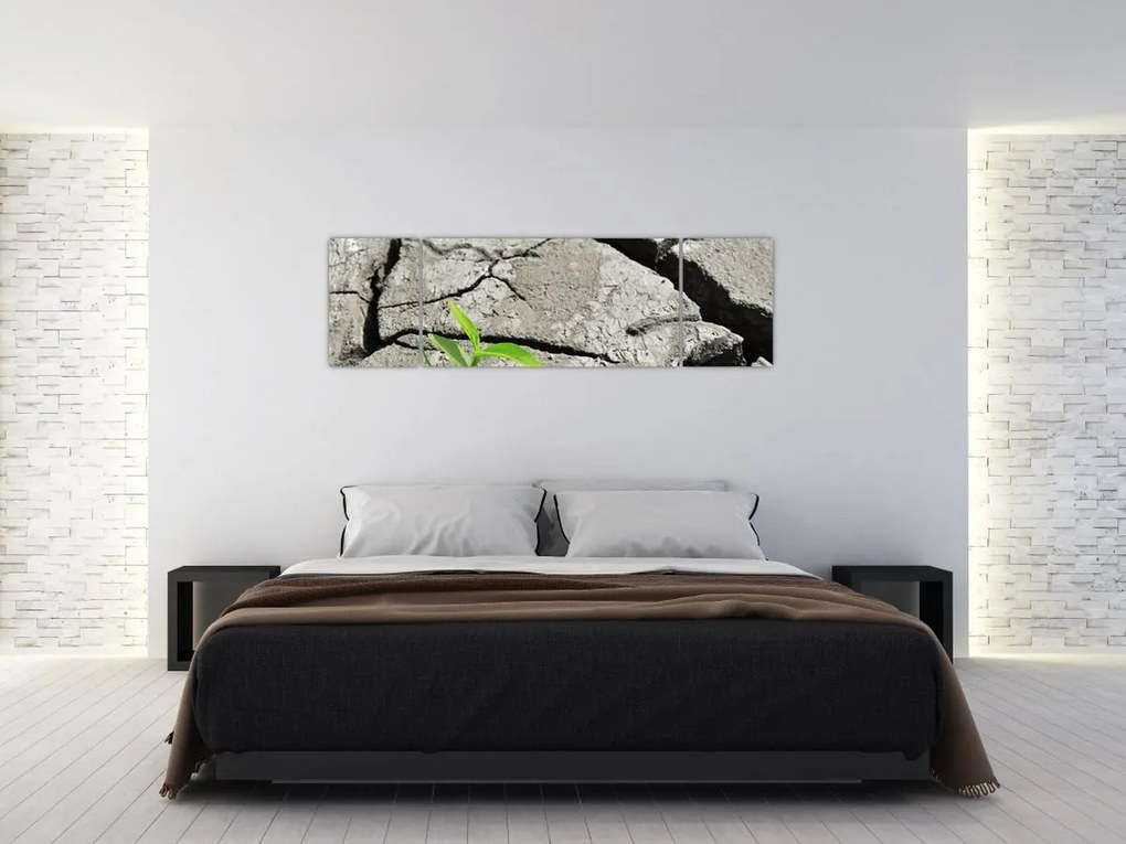 Obraz - Pęknięcia (170x50 cm)