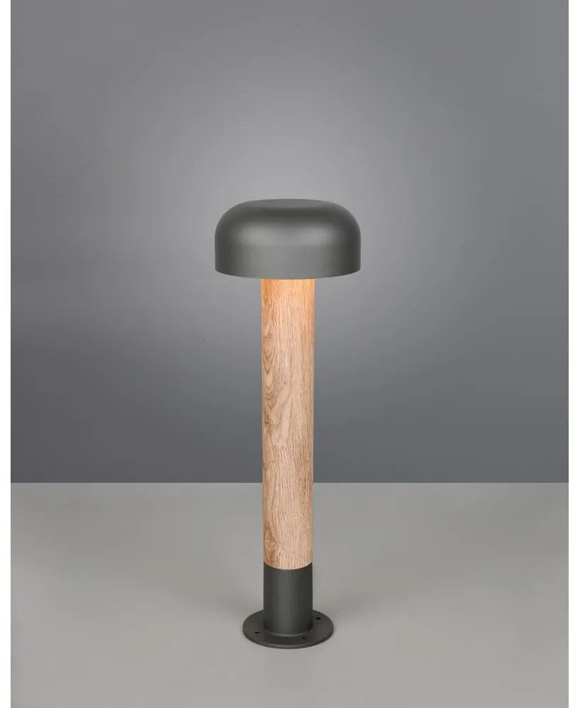 Lampa zewnętrzna typu słupek ø 19 cm Fraser – Trio