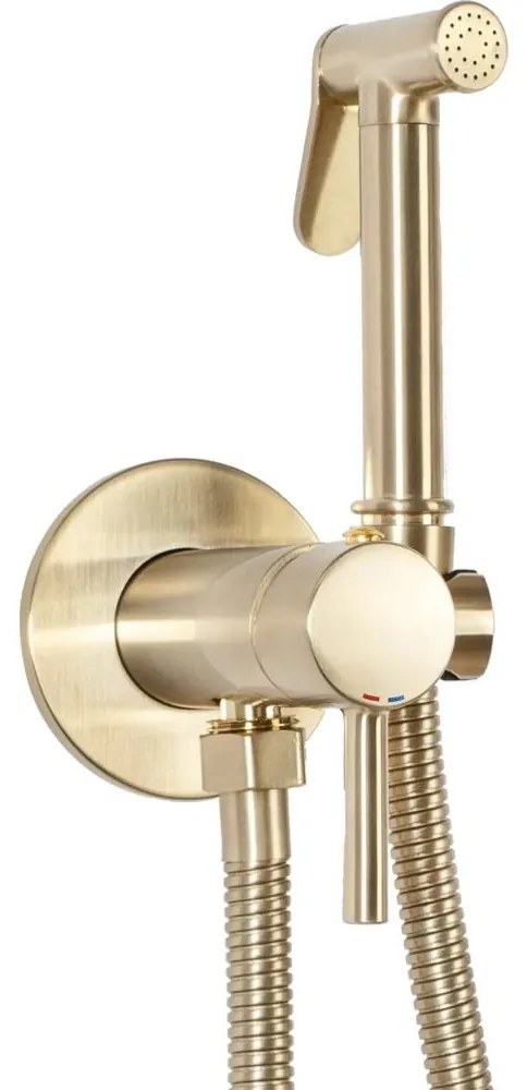 REA-B6311 -Bateria bidetowa z natryskiem do montażu podtynkowego LUNGO szczotkowane złoto