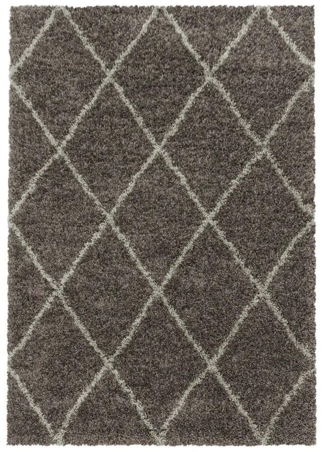 Brązowy dywan 120x170 cm Alvor – Ayyildiz Carpets