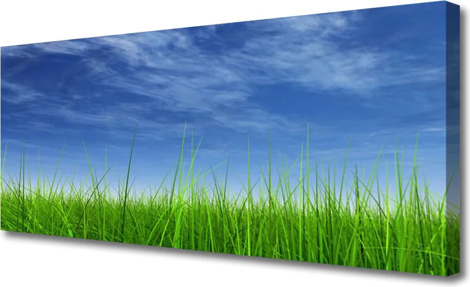 Obraz na płótnie Horyzont nad Zieloną Łąką