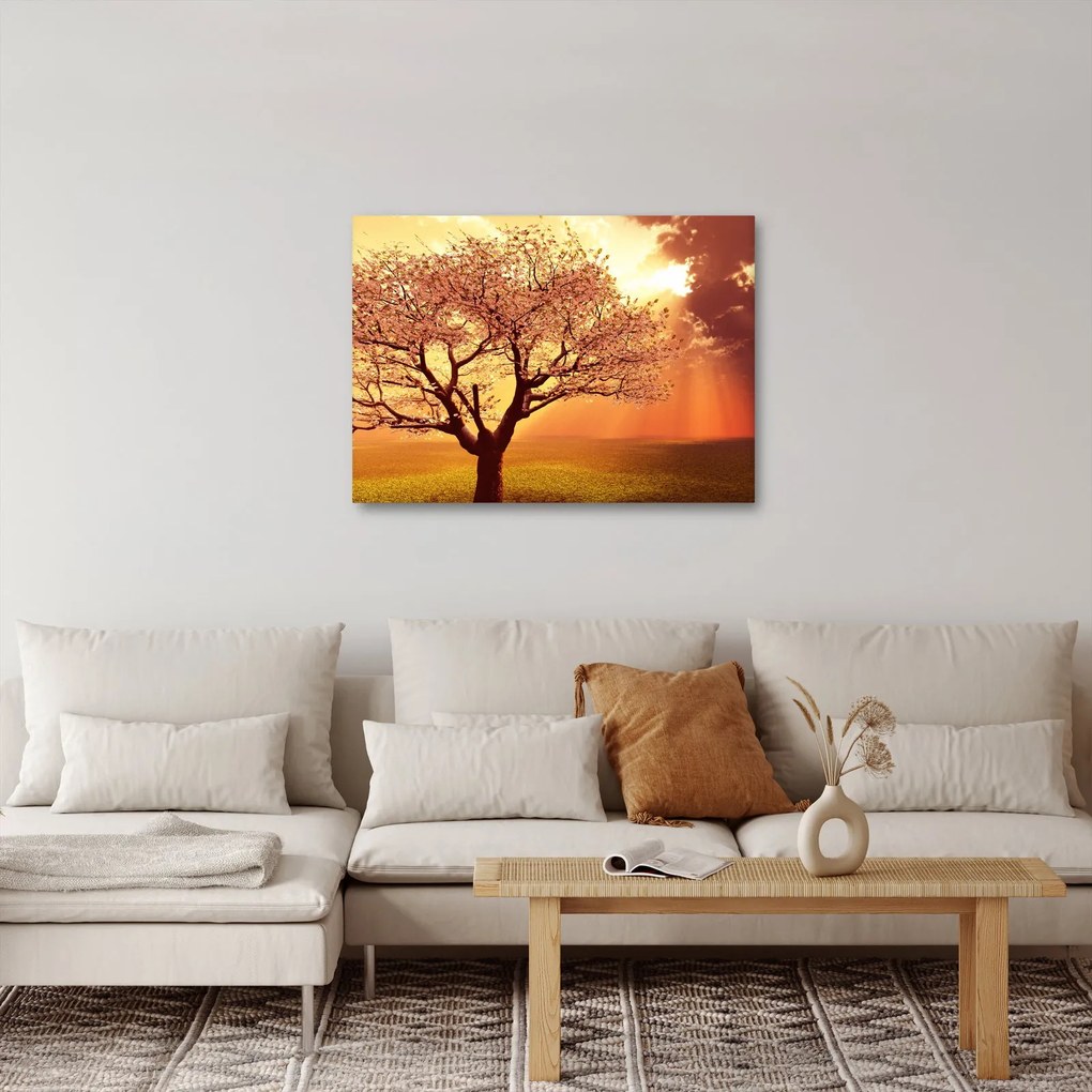 Obraz promieni Boga (70x50 cm)