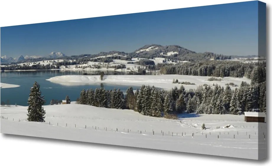 Obraz canvas na ścianę Lawendowy Zmierzch pod Drzewem