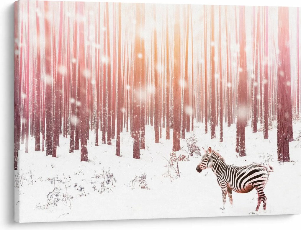 Obraz - Zebra w śnieżnym lesie (70x50 cm)