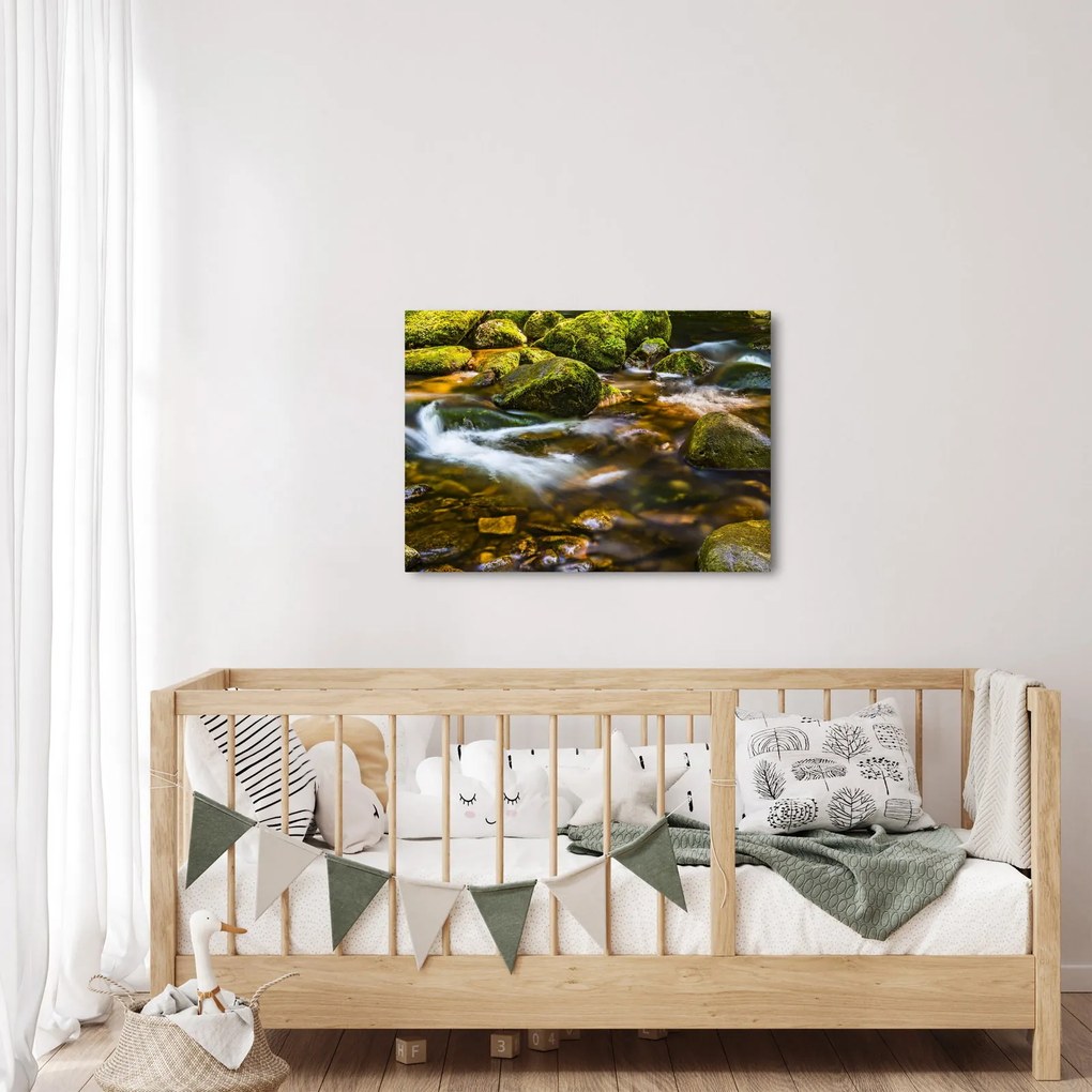 Obraz strumienia (70x50 cm)