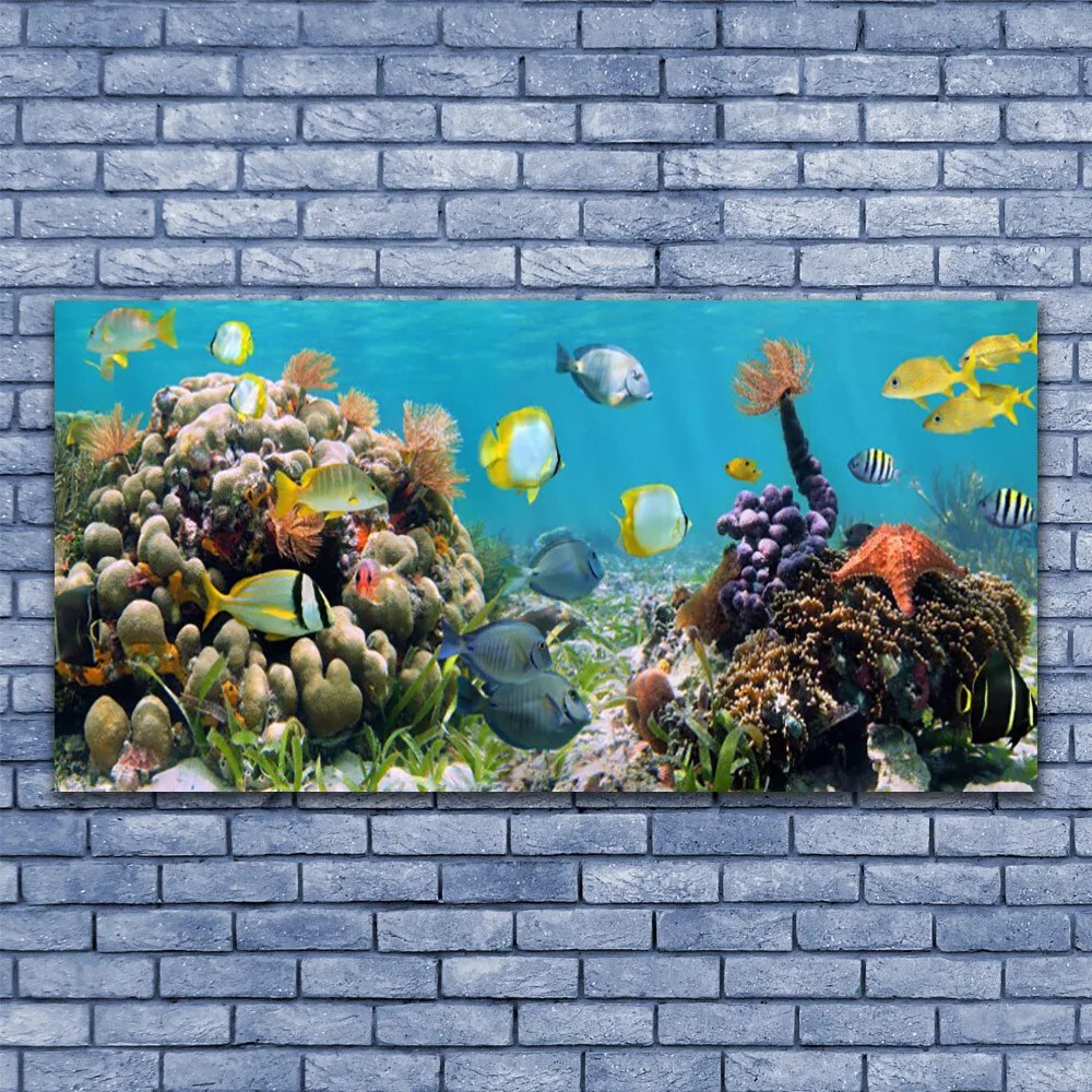 Obraz na płótnie Podwodny Świat Oceanu