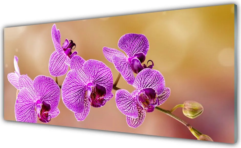 Panel Szklany do Kuchni Aromatyczny Rozkwit Storczyka