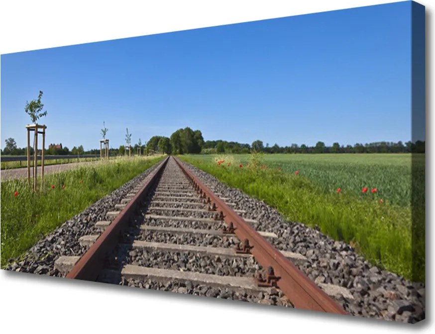 Obraz na płótnie Zapomniane Tory Kolejowe