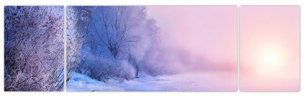 Obraz - Zamarznięta rzeka (170x50 cm)