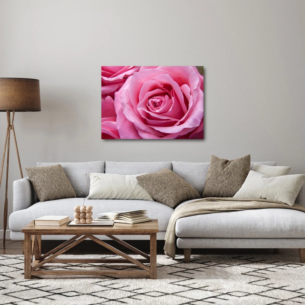 Obraz róży (70x50 cm)