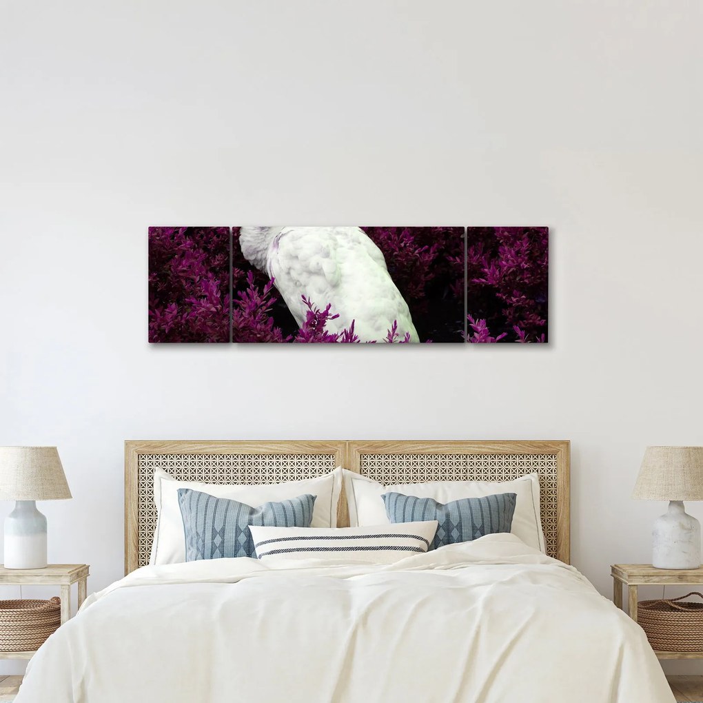 Obraz - Biały paw (170x50 cm)