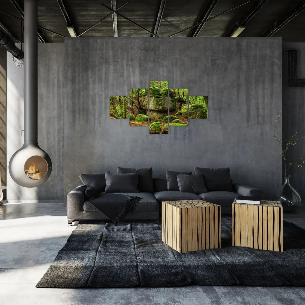 Obraz magicznego lasu (125x70 cm)