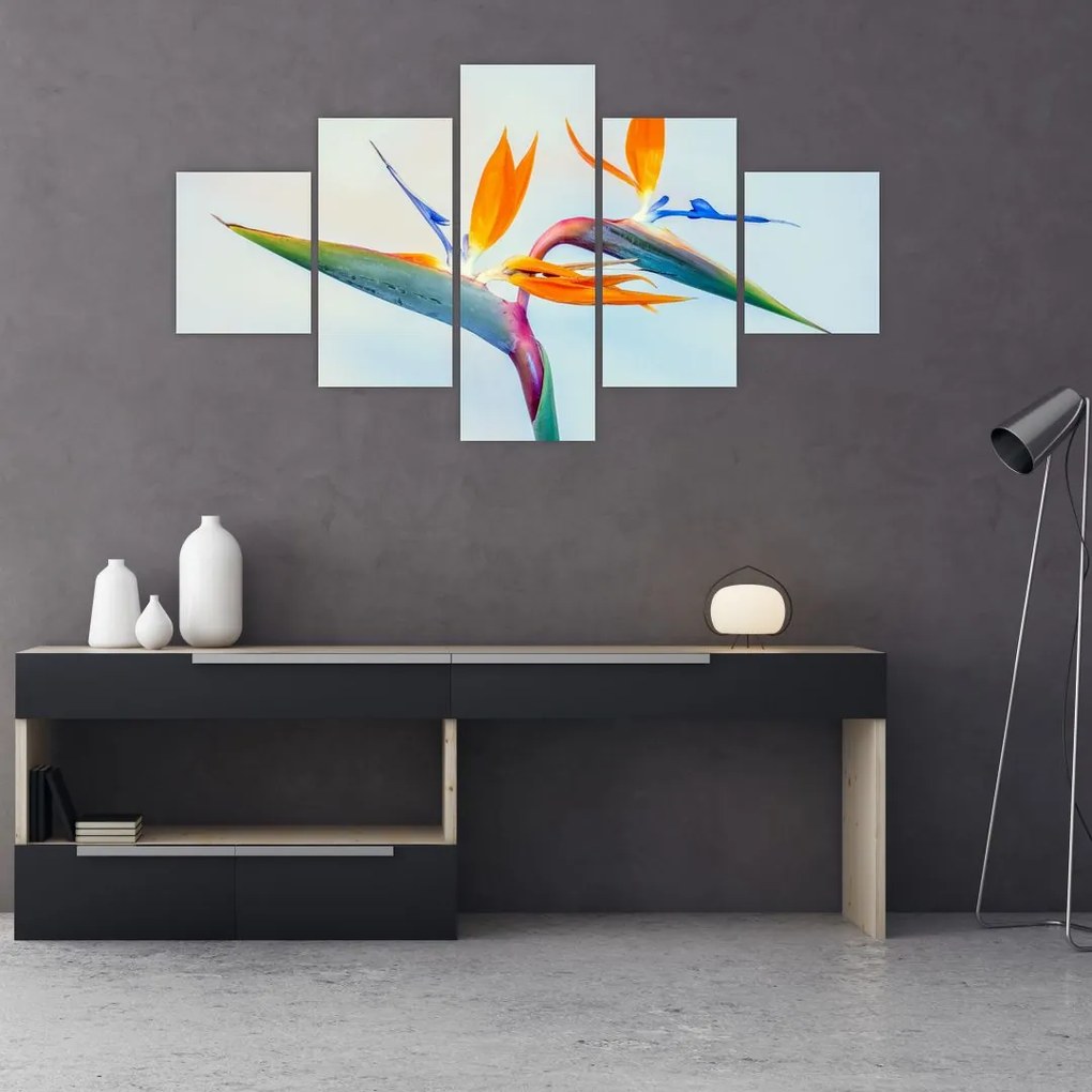 Obraz kwiatu Strelicji (125x70 cm)