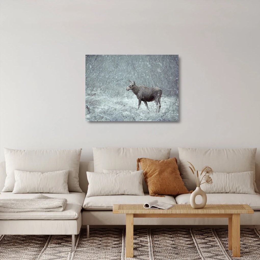 Obraz na szkle - Łoś w śnieżnym lesie (70x50 cm)