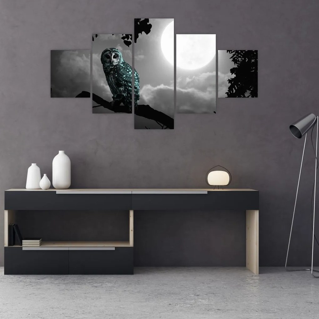 Obraz - Nocna sowa, niebieski (125x70 cm)