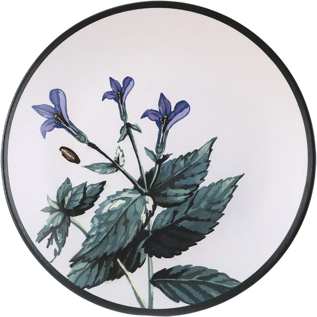 Zestaw 6 płytkich talerzy kamionkowych Herbal 25 cm