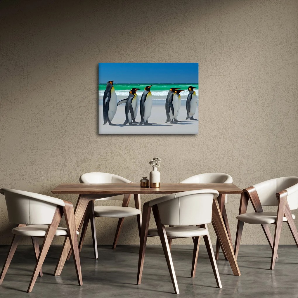Obraz - Grupa Pingwinów królewskich (70x50 cm)