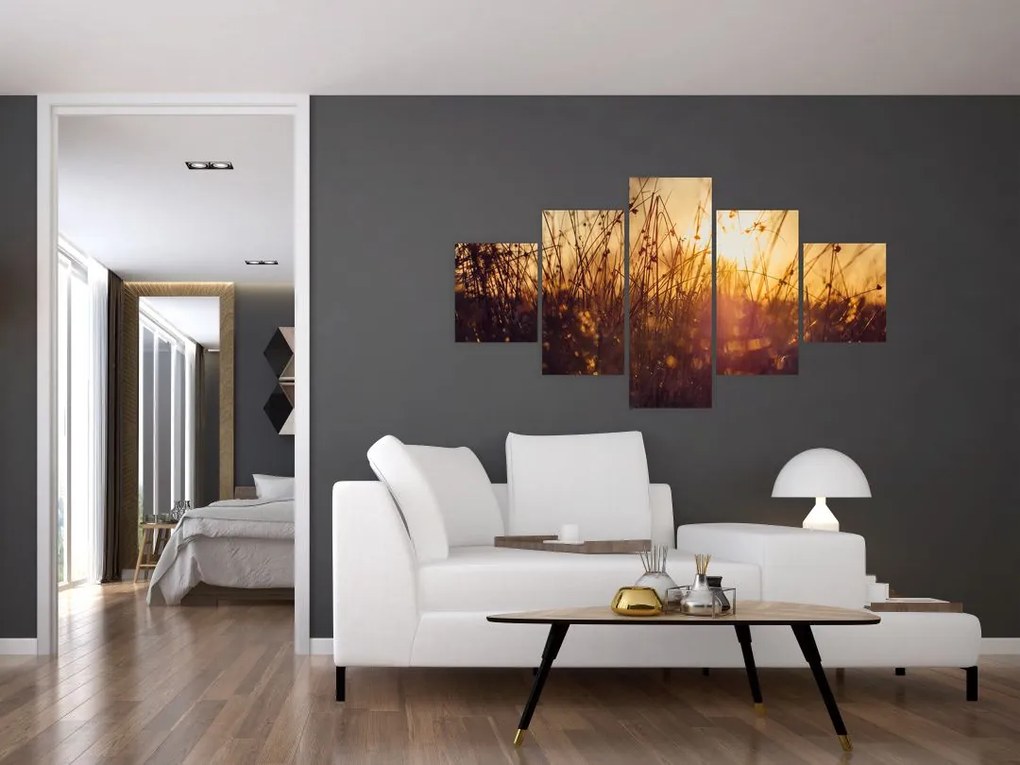 Obraz pola o zachodzie słońca (125x70 cm)