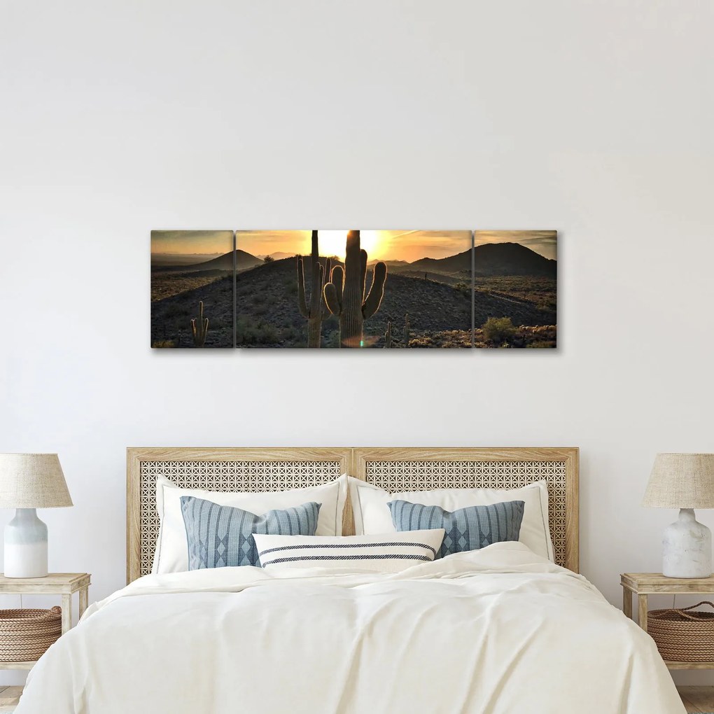 Obraz - kaktusy w słońcu (170x50 cm)